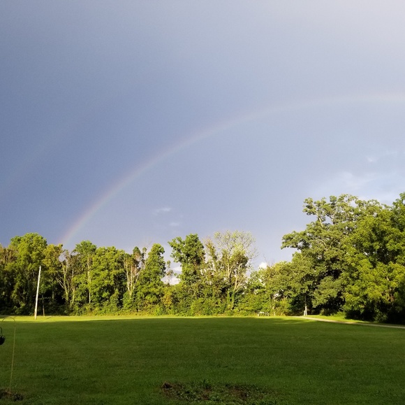 Meet your Posher, Miranda - Picture 1 of 1